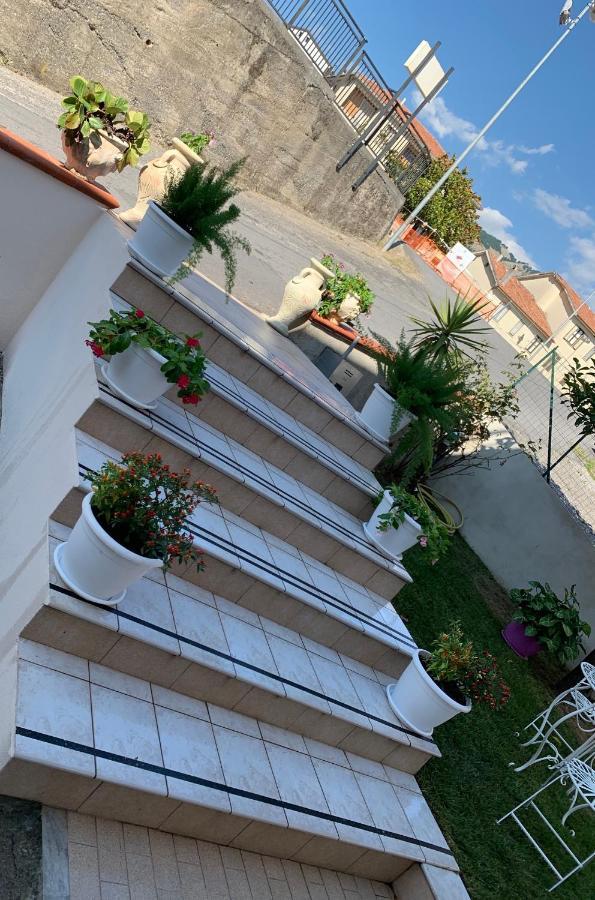 B&B Villa Pignataro Verbicaro Eksteriør billede
