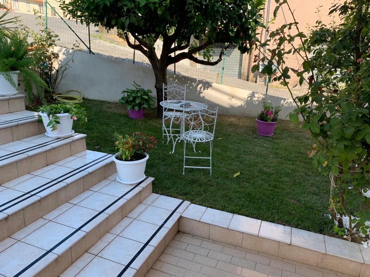 B&B Villa Pignataro Verbicaro Eksteriør billede