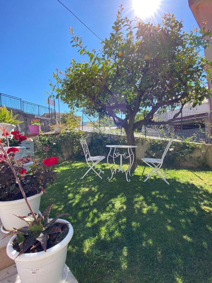 B&B Villa Pignataro Verbicaro Eksteriør billede